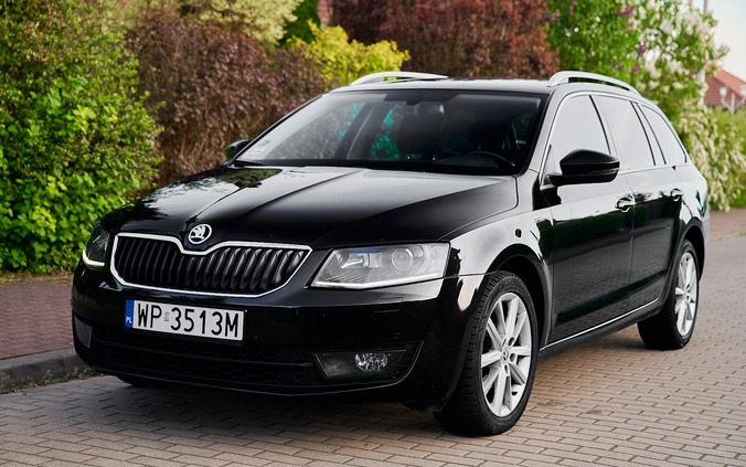 Skoda Octavia cena 45500 przebieg: 232000, rok produkcji 2015 z Płock małe 781